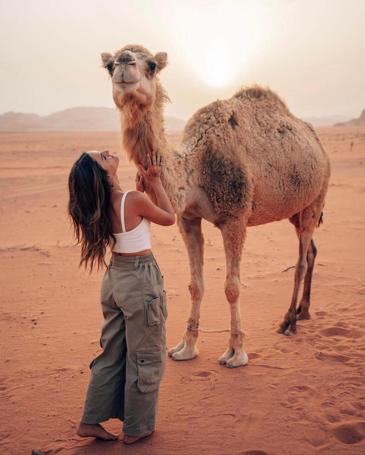 Rum Magic Luxury Camp Wadi Rum Exteriör bild