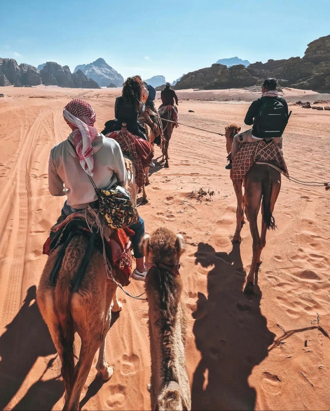 Rum Magic Luxury Camp Wadi Rum Exteriör bild